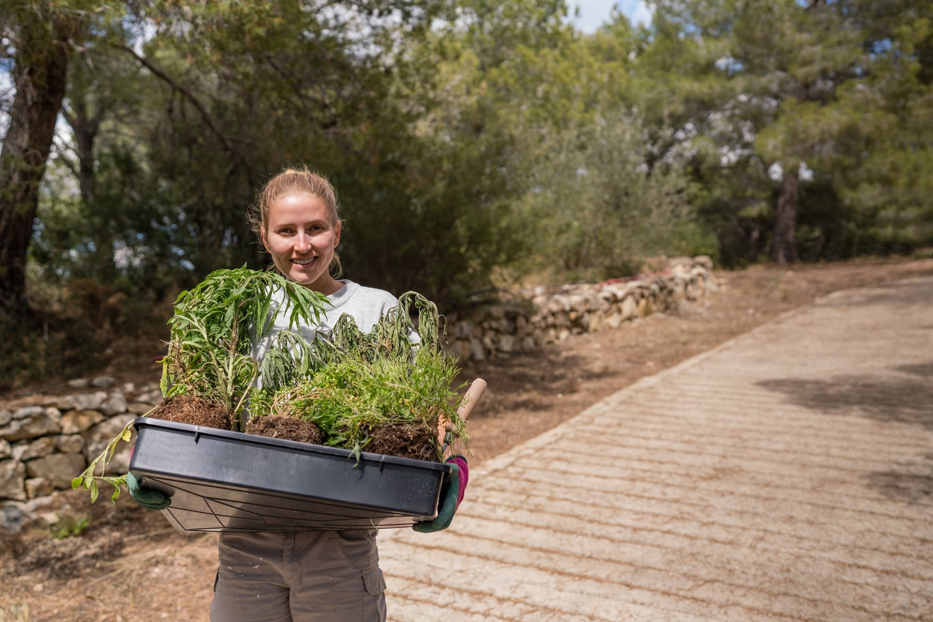 Transport des plantes